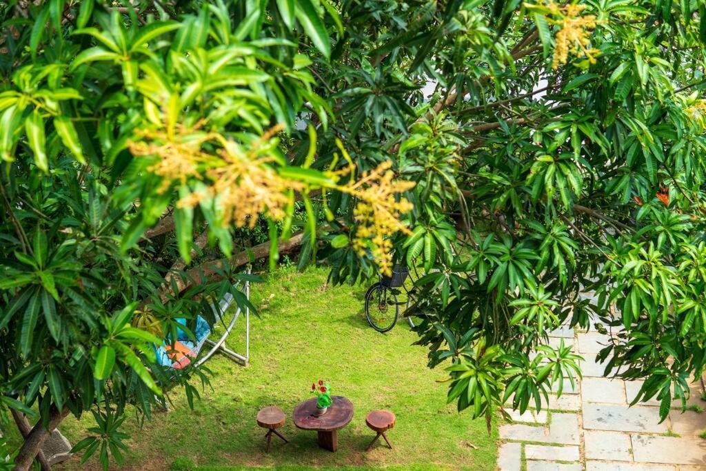 Flora Villa Hoi An Exterior photo